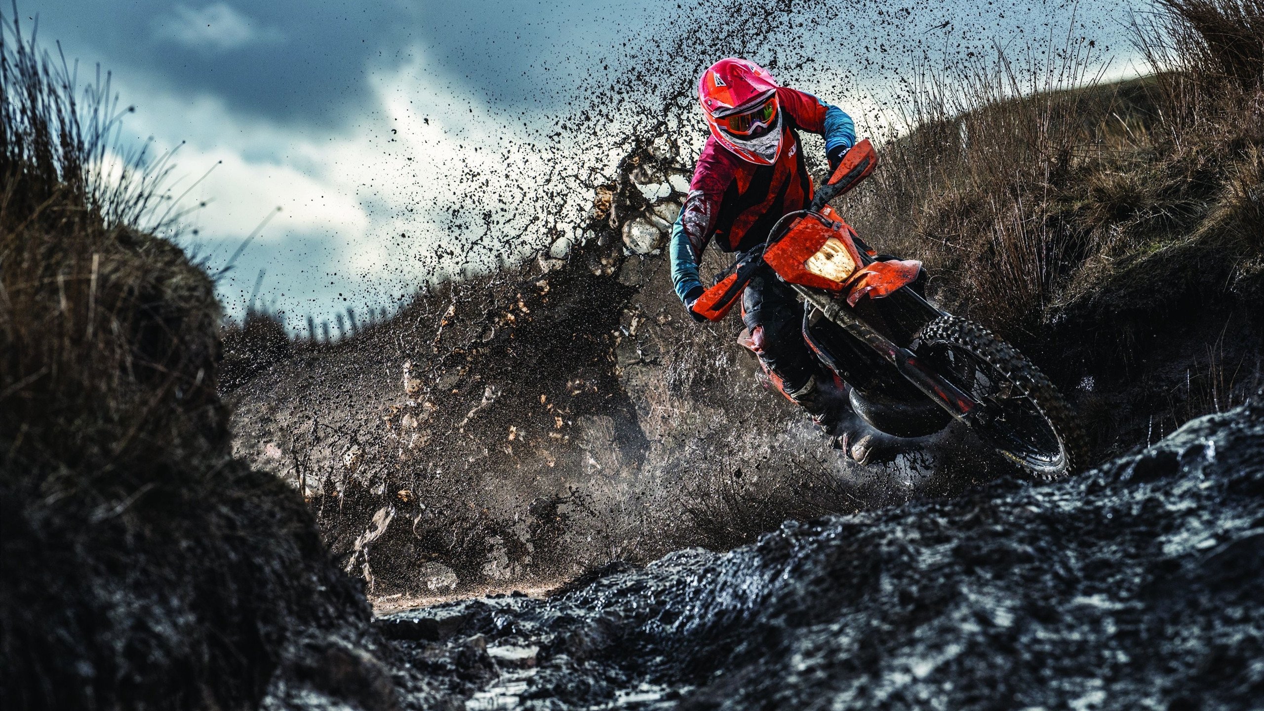 球队双核之间的攻防协同机制分析，nba双核建队思路